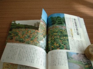 ページを一部切り取られた本の写真