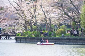 八鶴湖レンタルボート2