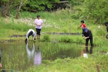 田植え5