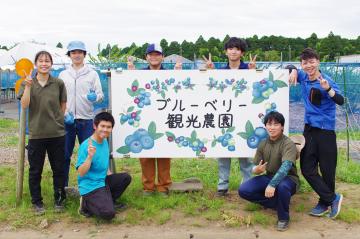 農大ひまわり迷路・ブルーベリー農園の写真18