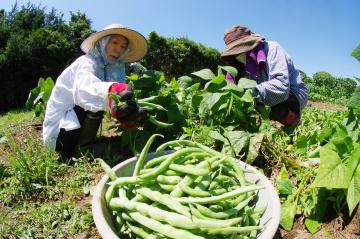 野菜の栽培講習会　写真1