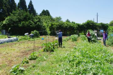 野菜の栽培講習会　写真3