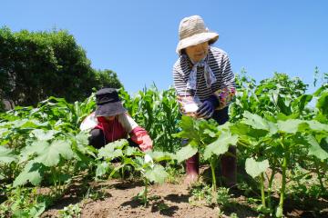 野菜の栽培講習会　写真4