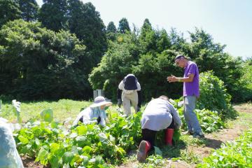 野菜の栽培講習会　写真5