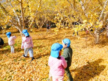 イチョウ並木の散歩写真4