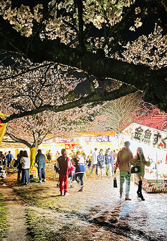 八鶴湖夜店