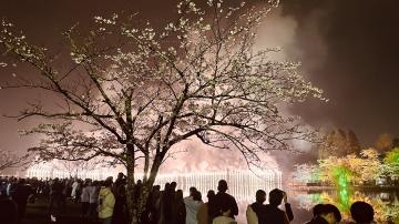 花火大会（ナイアガラ）