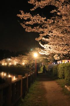 八鶴湖畔ライトアップ