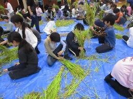 穂を縛る活動