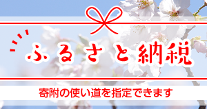 ふるさと納税 使い道を指定して寄付できます