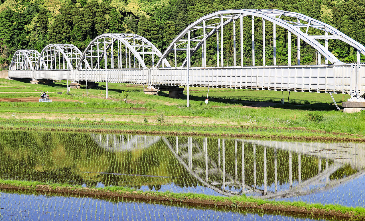公平水道橋と早苗田