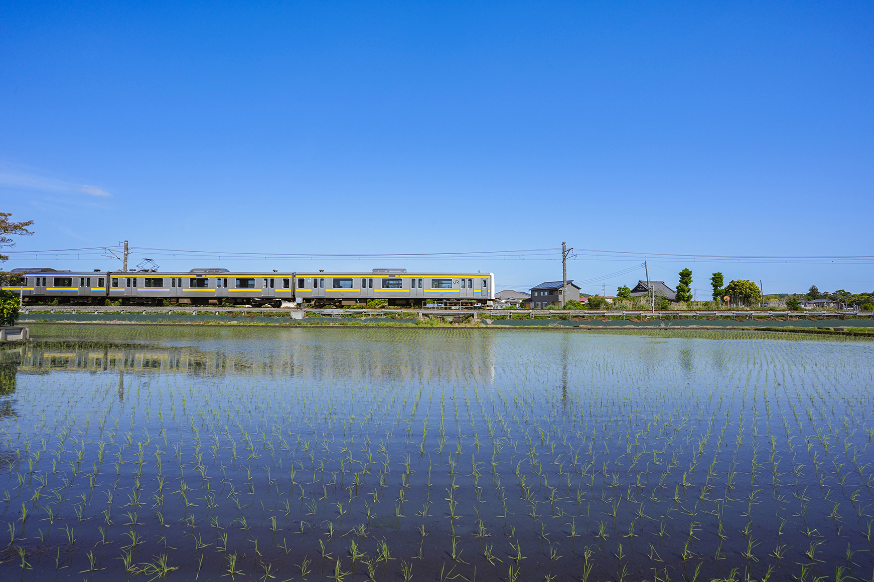 田んぼと東金線