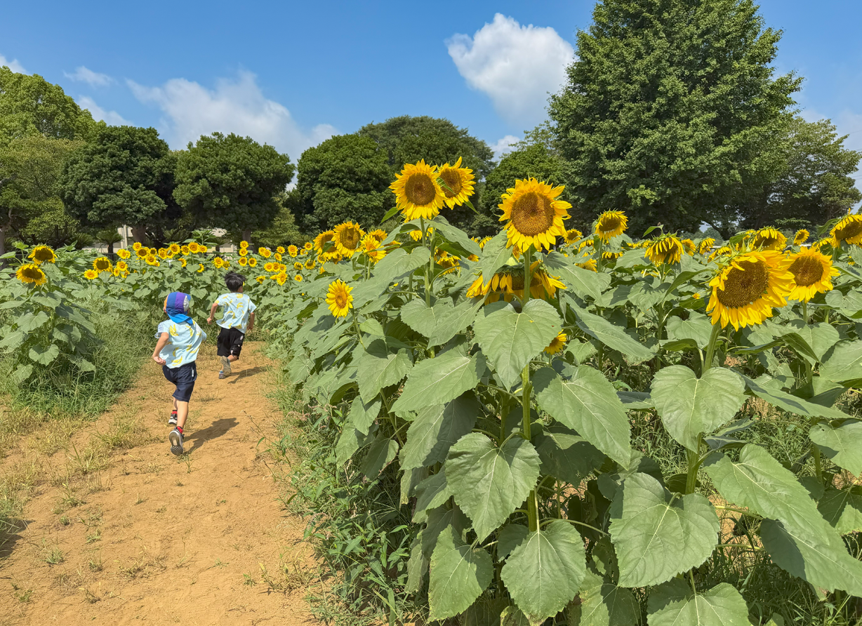 東金市 | 豊かな自然と伝統を守り 未来へ続く My City 東金