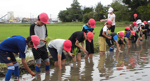 田植えをする子ども