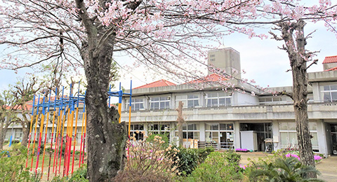 日吉台小学校と桜